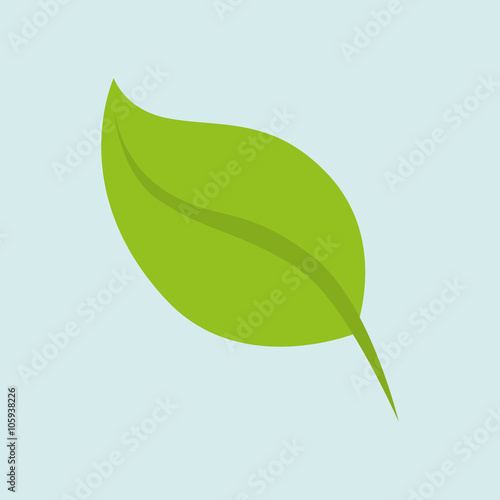 leaf icon  design 