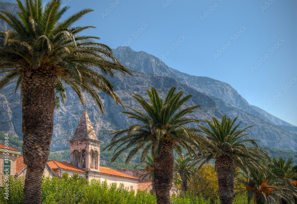 Palmen auf der Promenade der mediteranen Stadt Makarska, Dalmatien, Kroatien.

Palm trees on the promenade of the Mediterranean city of Makarska, Dalmatia, Croatia.