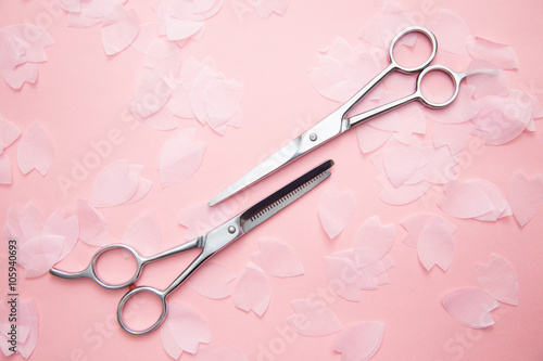 hairdressing scissors and sakura petals