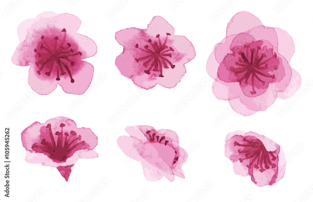 hand-drawn sakura flowers hand-drawn sakura flowers