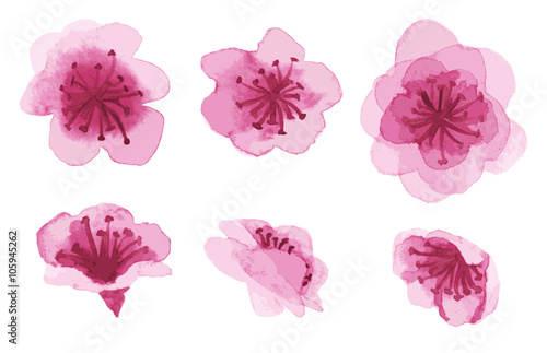 hand-drawn sakura flowers 