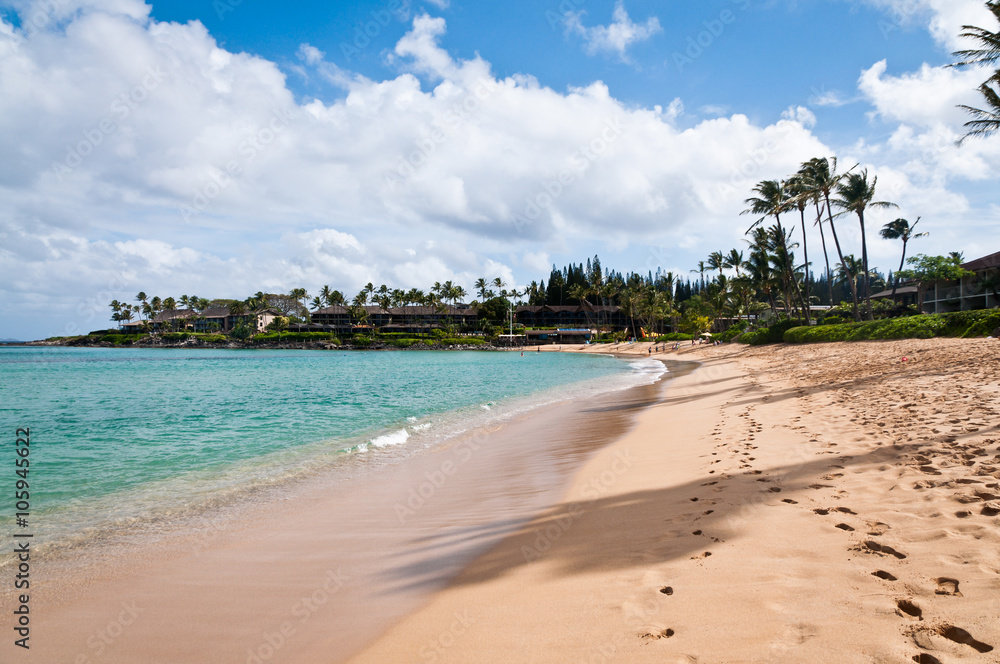 Coastline of Napili beach in Maui