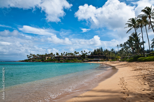 Fotografie, Obraz Napili beach in Maui.
