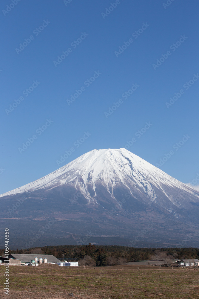 朝霧高原付近から見た富士山
