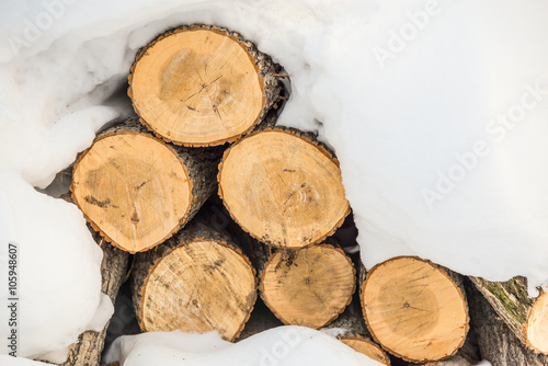 pile of logs under the snow