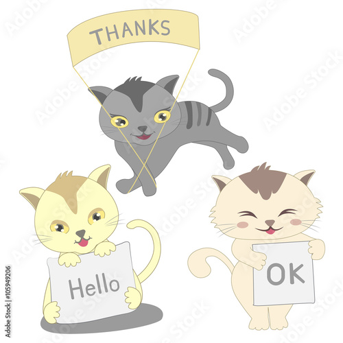 three lovely cats