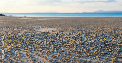 Low tide on the beach © Hunta