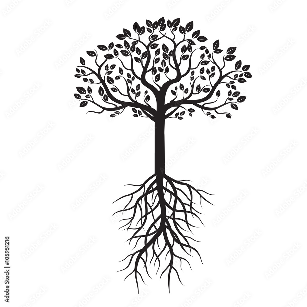 Obraz premium Black Tree and Roots. Vector Illustration.