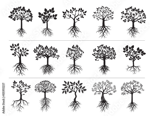 Set of Black Trees and Roots