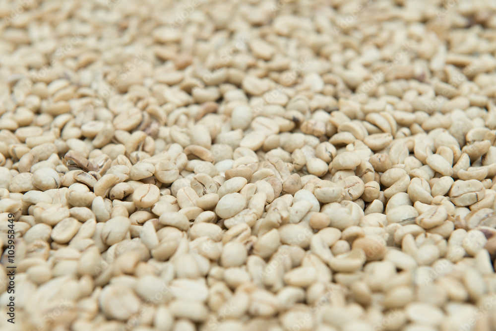 Coffee beans dried in the sun Coffee beans dried in the sun