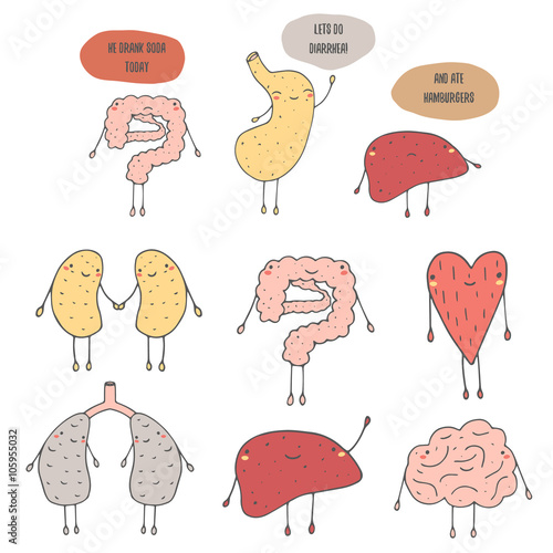 Cute hand drawn doodle internal human organs 