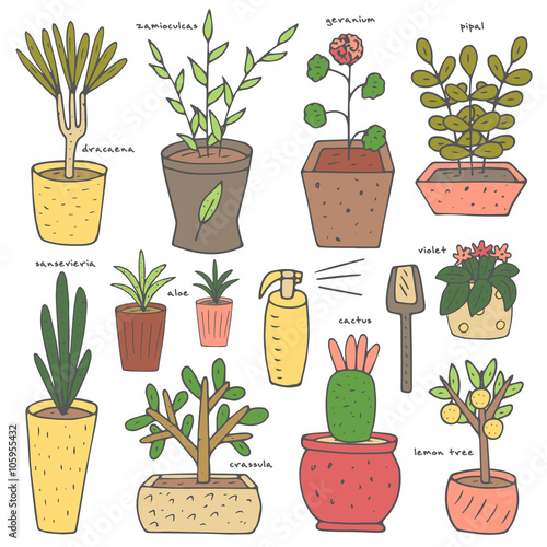 Cute hand drawn doodle house plants collection