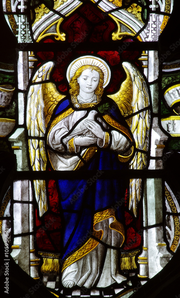 Obraz premium Angel holding a dove in stained glass