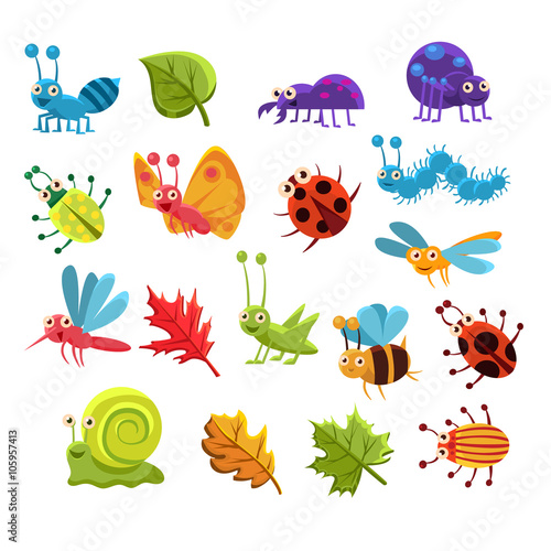 Insect And Leaves Collection