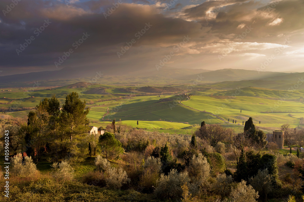 Fototapeta premium Spring in the fields of Tuscany in the sunset