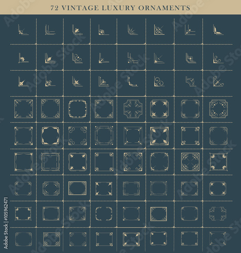set of retro flourishes calligraphic  vintage typographic design  