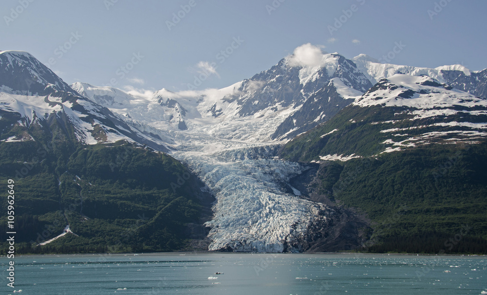 Wellesley Glacier in College Fjord