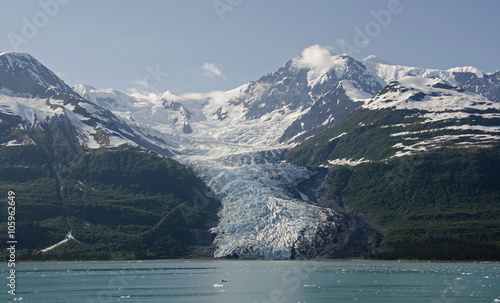 Wellesley Glacier in College Fjord photo