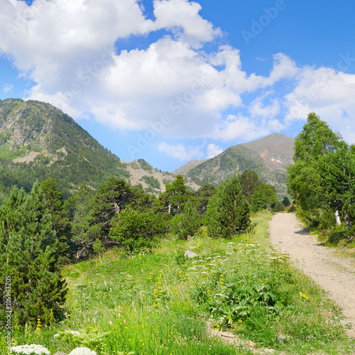 Fototapeta Naklejka Na Ścianę i Meble -  scenic mountains, meadows and blue sky