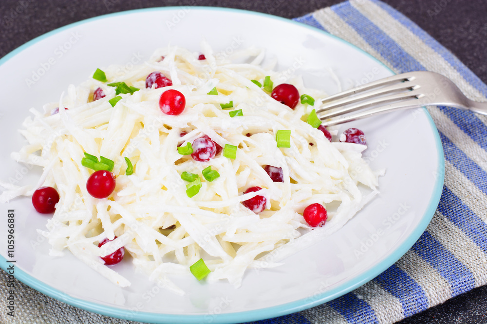 Dietary Salad from Daikon and Cranberry Health Food Dietary Salad from Daikon and Cranberry Health Food