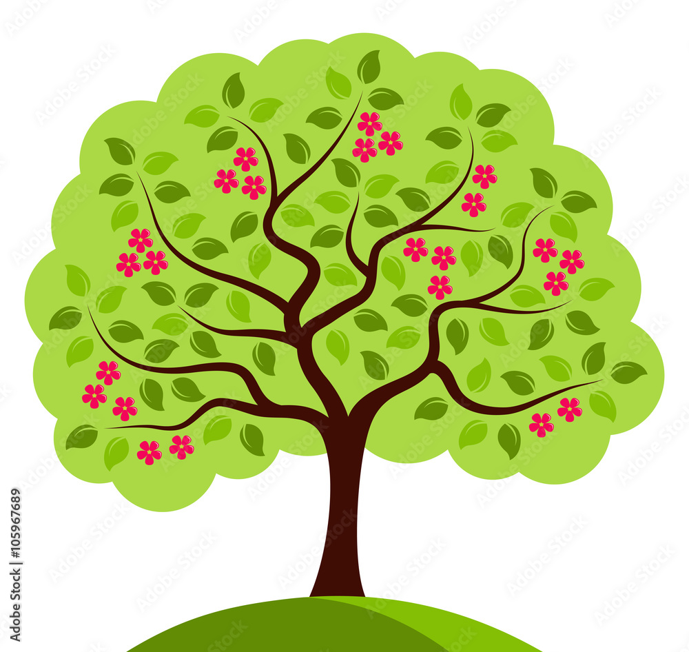 Fototapeta premium flowering tree