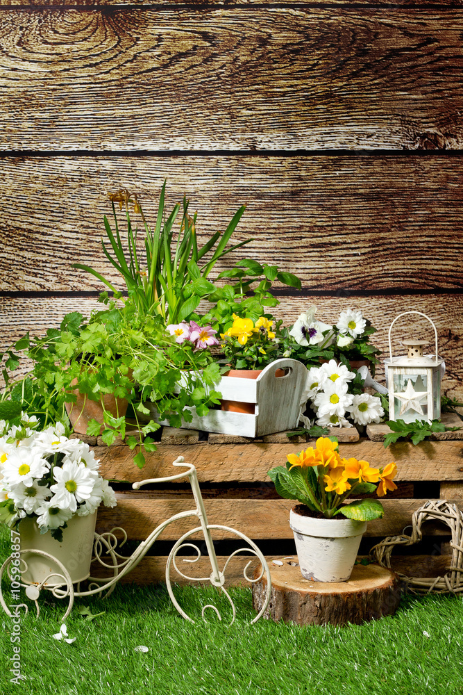spring garden