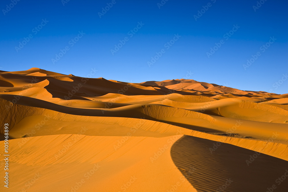 Morocco. The dunes of Erg Chebbi