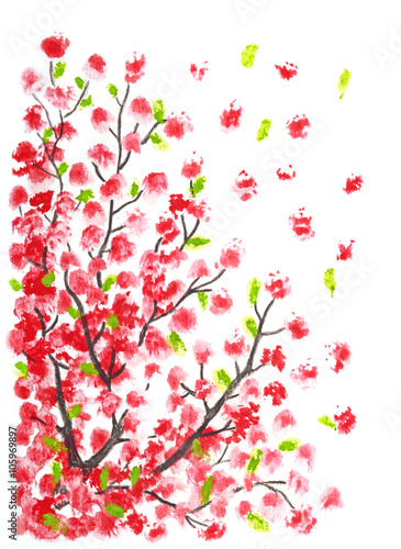 image of the cherry blossom painting on white background