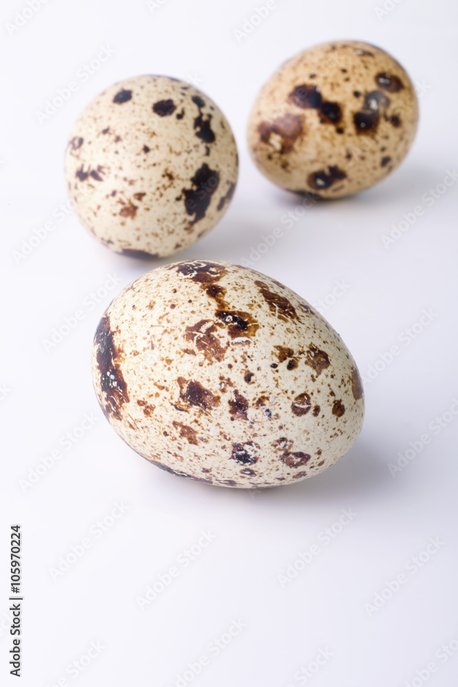 quail eggs on a white background. Food image with space for text quail eggs on a white background. Food image with space for text