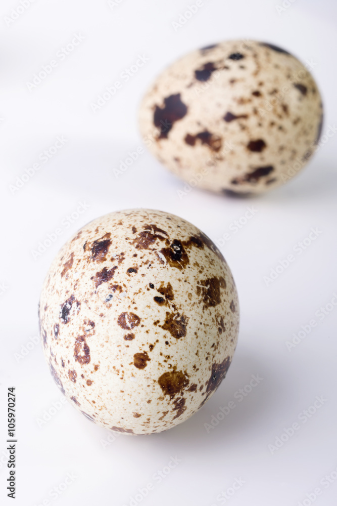 quail eggs on a white background. Food image with space for text quail eggs on a white background. Food image with space for text