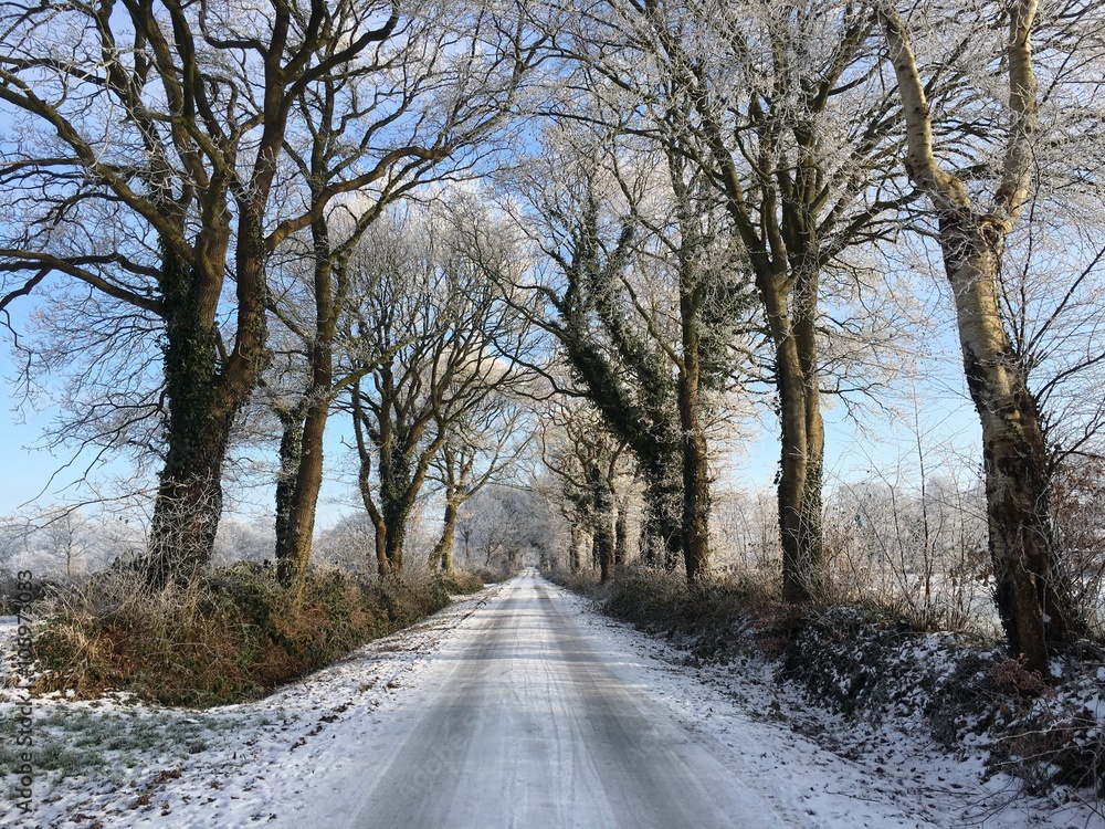 Strasse im Winter Strasse im Winter