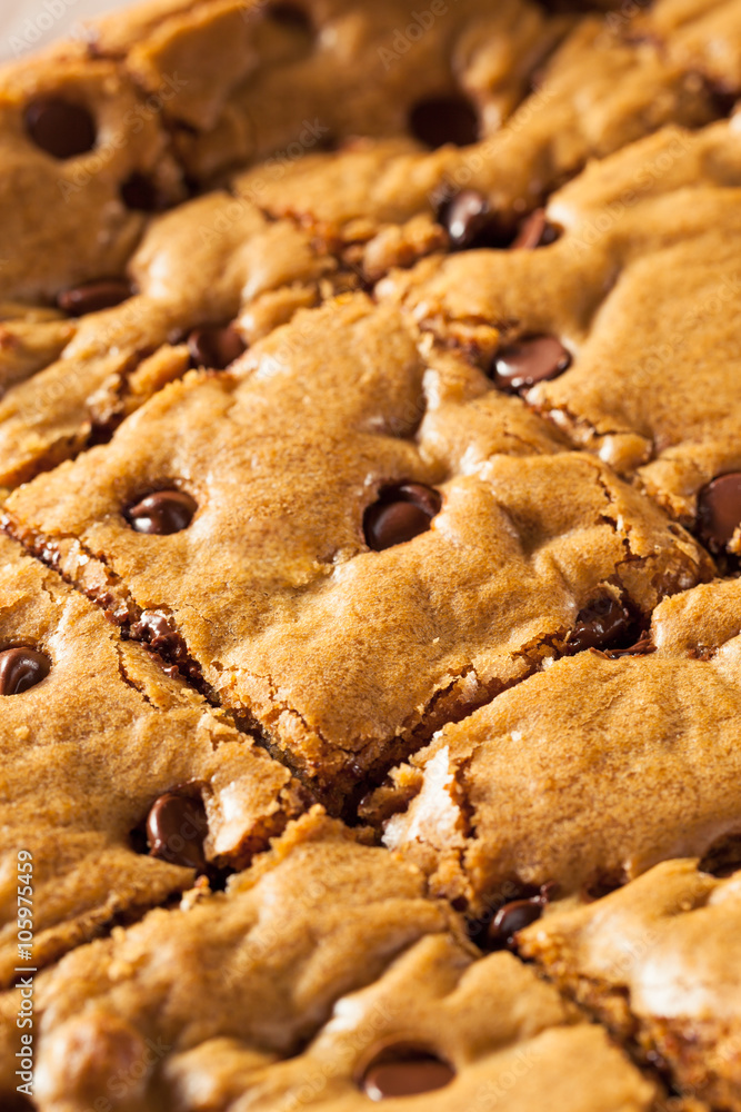 Homemade Chocolate Chip Blondies Homemade Chocolate Chip Blondies