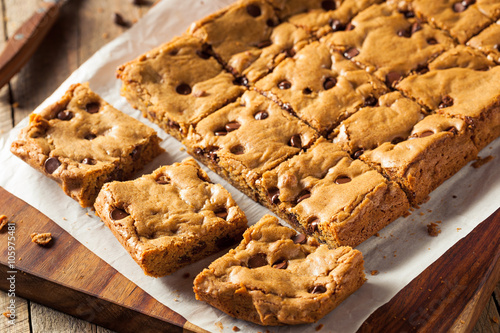 Homemade Chocolate Chip Blondies