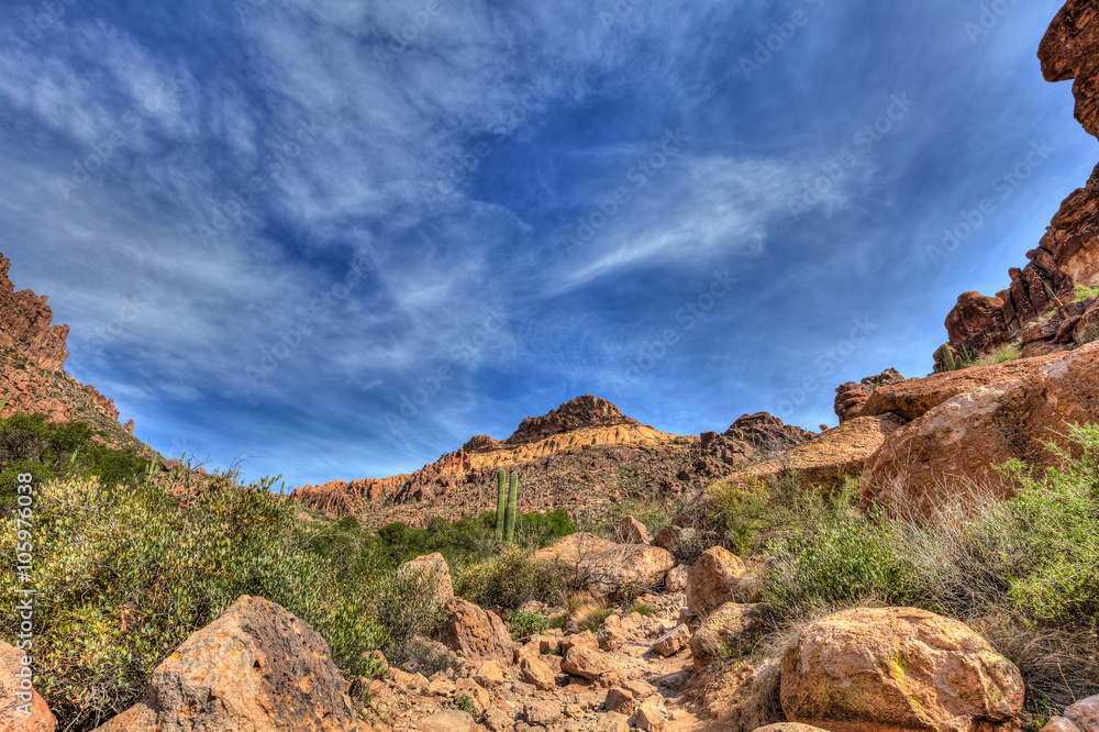 Arizona-Superstition Mountain Wilderness-Peralta Trail