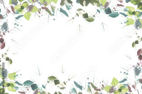 beautiful color autumn leaves on white background   art backgrou