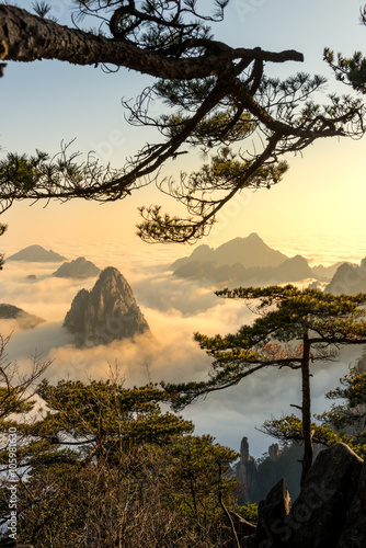 Photography Monkey watch sea cloud ,Mt. Huangshan in Anhui, China