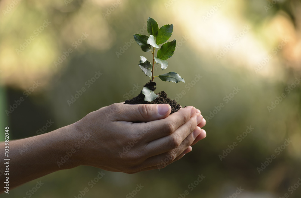 Cultivating the future in his hands Cultivating the future in his hands