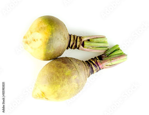 Two organic rutabaga turnips studio isolated photo