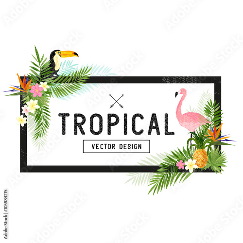 Tropical Design Elements. Various tropical objects including Toucan bird, pineapple and palm leaves.