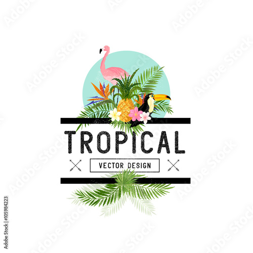 Tropical Design Elements. Various tropical objects including Toucan bird, pineapple and palm leaves.