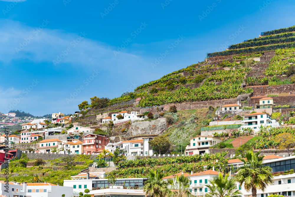 Panoramic view of tranquil hillside town