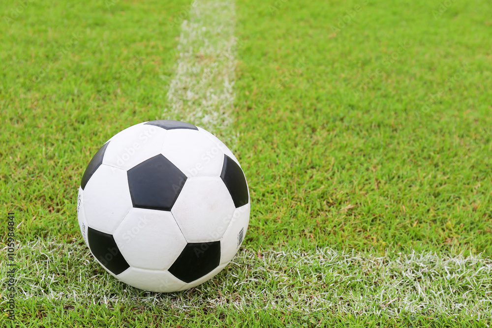 Fototapeta premium Soccer football field stadium grass line ball background texture