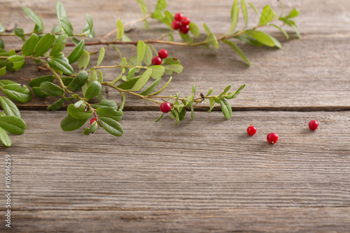 cowberry on wooden background