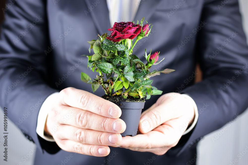 Rose in hand man suit Rose in hand man suit