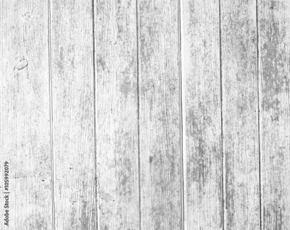 Fototapeta premium wood