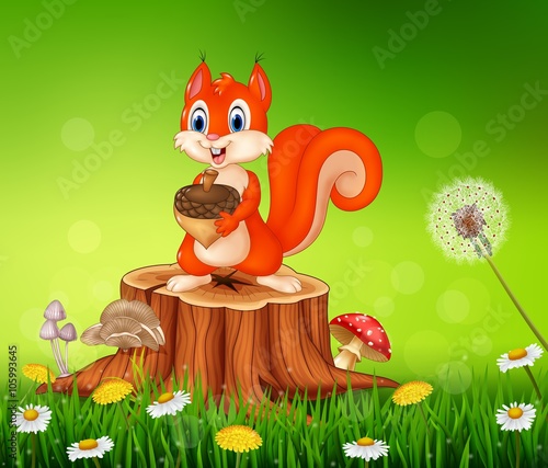 Cartoon squirrel holding pine cone on tree stump in summer season background