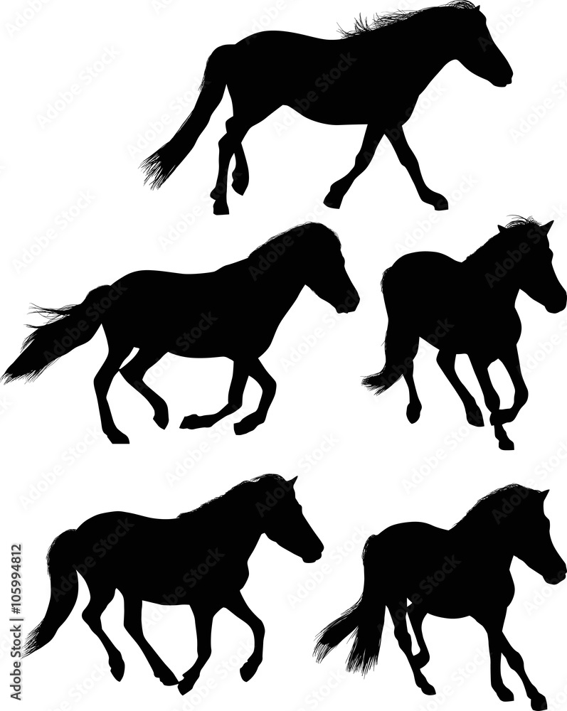 five running black horses on white