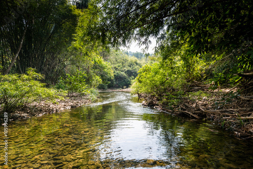 Fototapeta Naklejka Na Ścianę i Meble -   river on the  jungle, Thailand