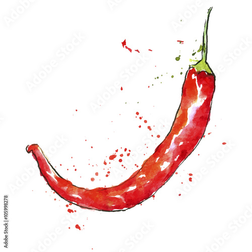 vector watercolor red chili pepper