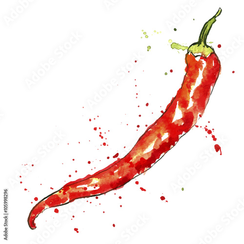 vector watercolor red chili pepper